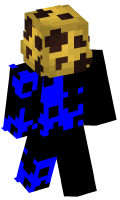 Skinfile