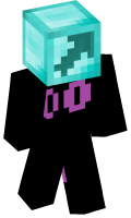 Skinfile