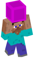 Skinfile
