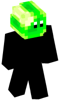 Skinfile
