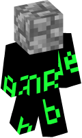 Skinfile