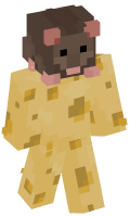 Skinfile