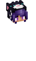Skinfile