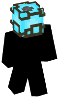 Skinfile