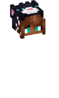 Skinfile
