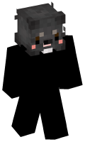 Skinfile