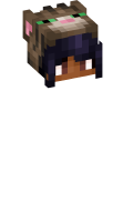 Skinfile