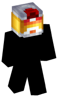 Skinfile