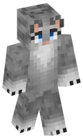 Skinfile