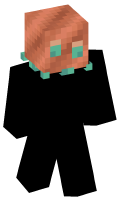 Skinfile