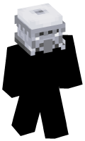 Skinfile