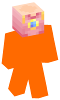 Skinfile