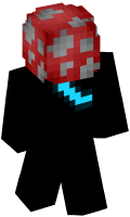 Skinfile