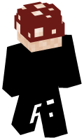Skinfile