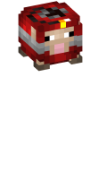 Skinfile