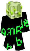 Skinfile