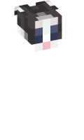 Skinfile