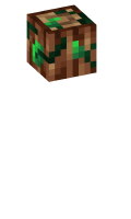 Skinfile