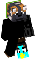 Skinfile
