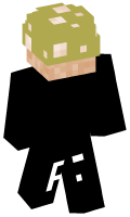 Skinfile