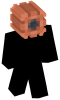 Skinfile