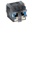 Skinfile