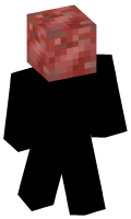 Skinfile