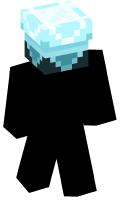 Skinfile