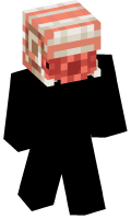 Skinfile