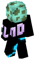 Skinfile
