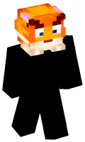 Skinfile