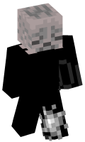 Skinfile