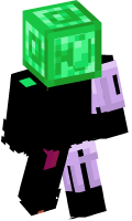 Skinfile