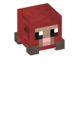 Skinfile