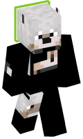 Skinfile