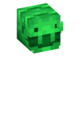 Skinfile