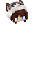 Skinfile