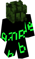 Skinfile