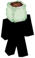 Skinfile