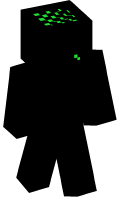 Skinfile