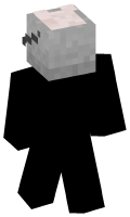 Skinfile