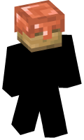 Skinfile