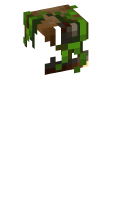 Skinfile