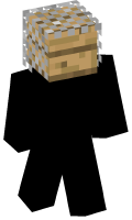 Skinfile
