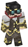 Skinfile