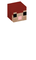 Skinfile