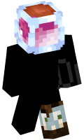 Skinfile