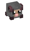 Skinfile