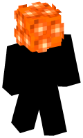 Skinfile