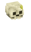 Skinfile